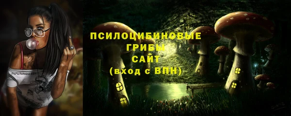 дмт Надым