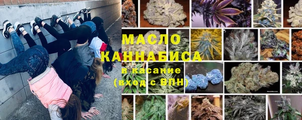 дмт Надым