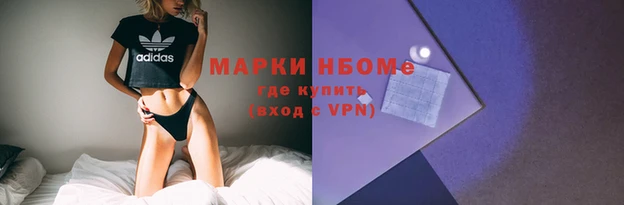 дмт Надым