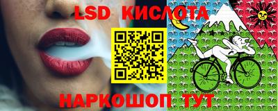 гидропоника Гагарин