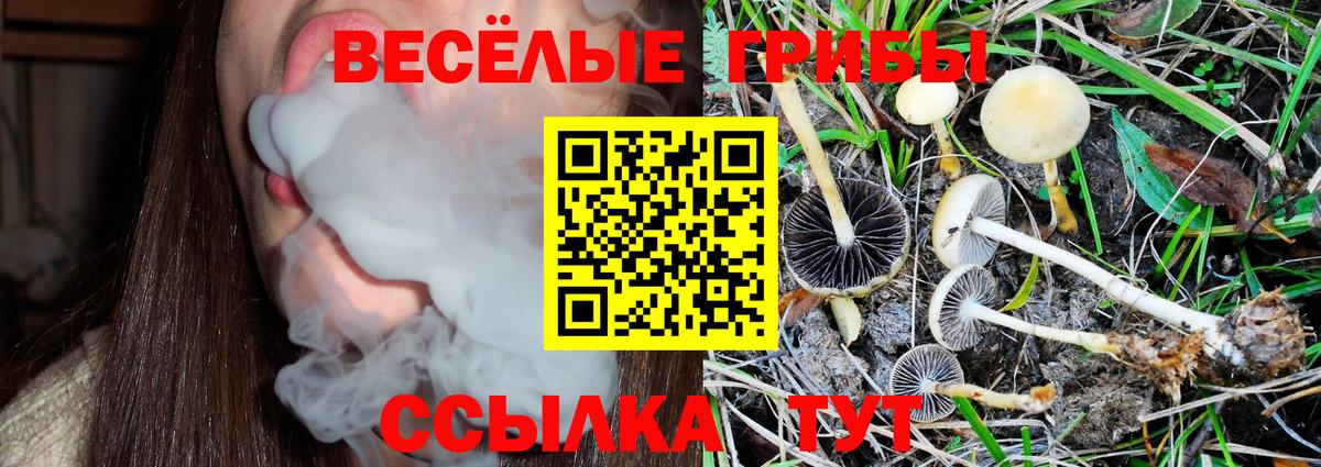 МЕТАМФЕТАМИН  Вход с VPN  НБОМе  ГАШИШ  Мефедрон   ГАШ  COCAIN  A PVP СОЛЬ   Волоколамск  Марихуана  MDMA 