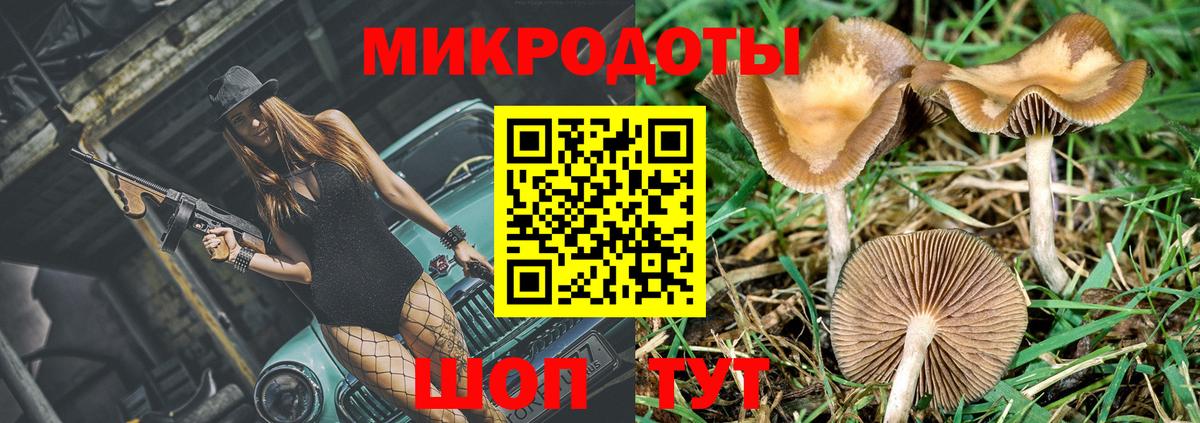 Волоколамск  Псилоцибиновые грибы Cubensis  Вход с VPN 