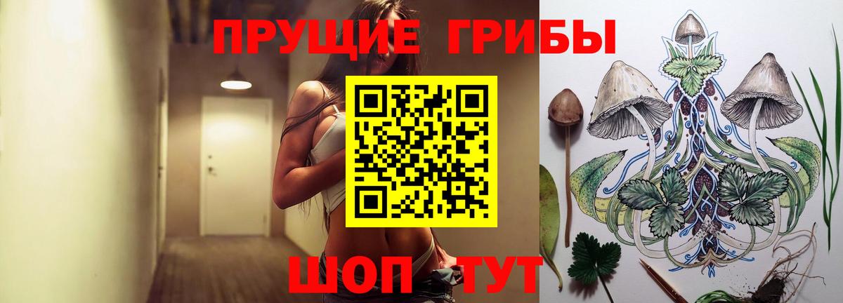 Галлюциногенные грибы прущие грибы  Вход с VPN  Волоколамск  Псилоцибиновые грибы MAGIC MUSHROOMS 
