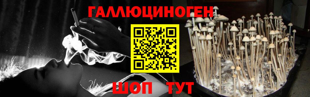 Галлюциногенные грибы Cubensis Волоколамск