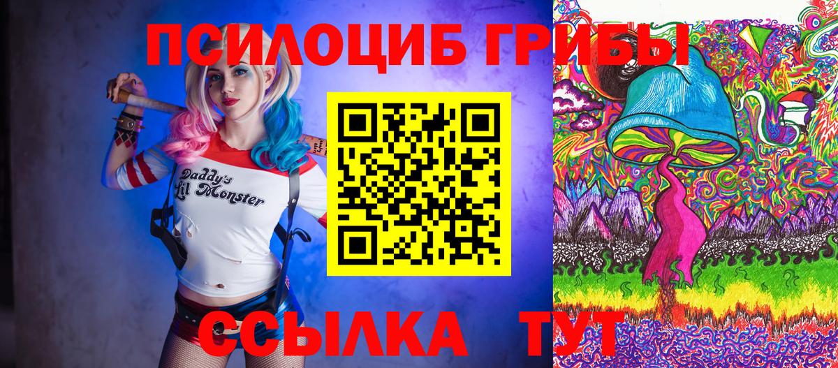 Галлюциногенные грибы Psilocybine cubensis Волоколамск
